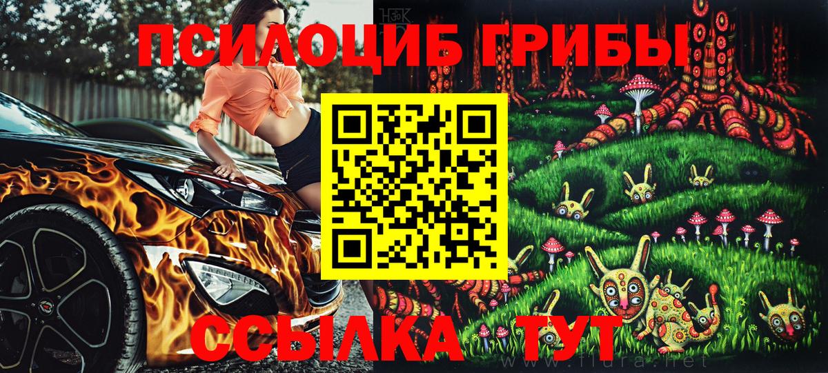 Псилоцибиновые грибы GOLDEN TEACHER Гулькевичи