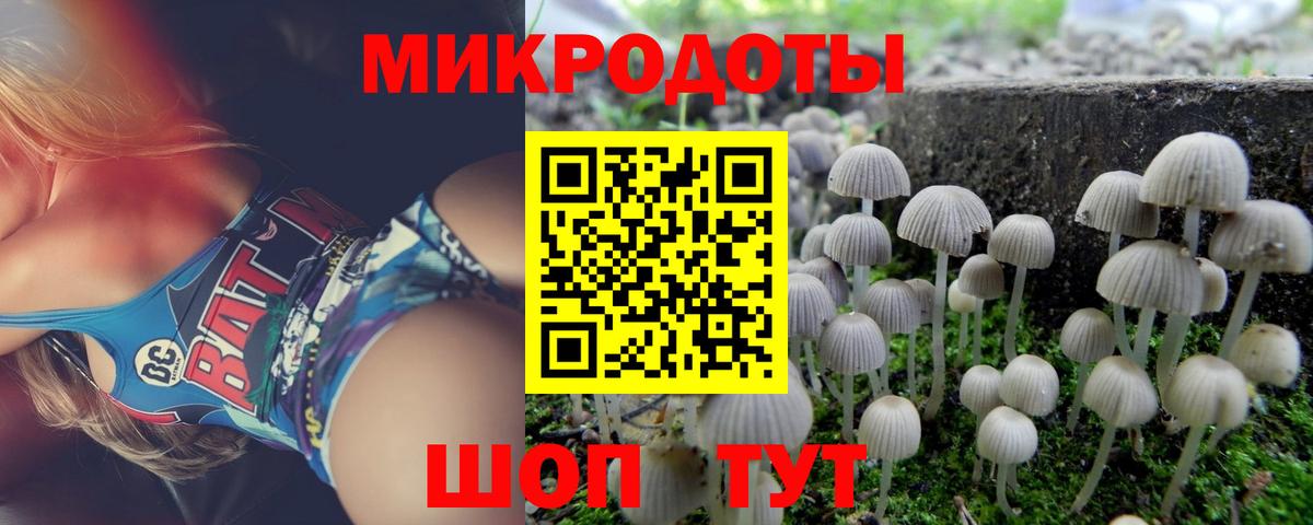 Галлюциногенные грибы Psilocybine cubensis  Вход с VPN  Гулькевичи  Галлюциногенные грибы MAGIC MUSHROOMS 